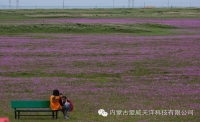 一起讀報-8月1日