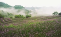 一起讀報-6月18日