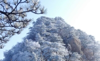 一起讀報-11月21日