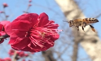 一起讀報-2月25日