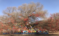 一起讀報-3月4日